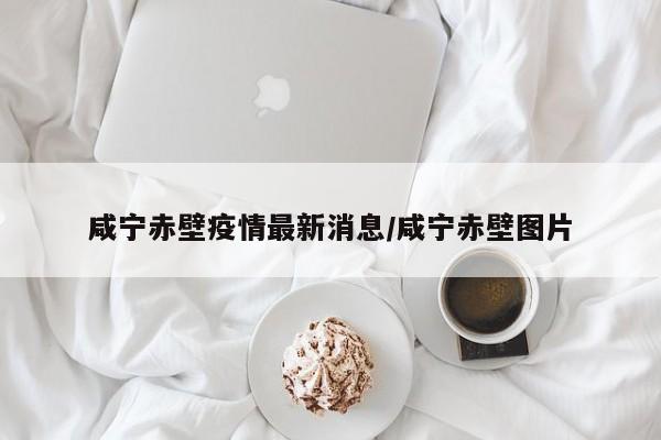 咸宁赤壁疫情最新消息/咸宁赤壁图片