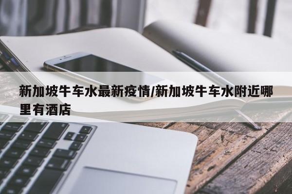 新加坡牛车水最新疫情/新加坡牛车水附近哪里有酒店