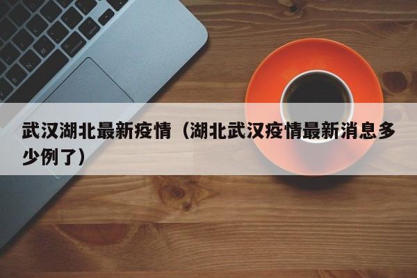 武汉湖北最新疫情（湖北武汉疫情最新消息多少例了）
